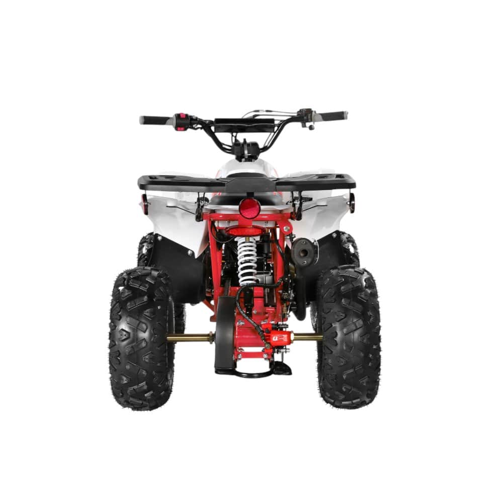 110cc Fully Auto ATV