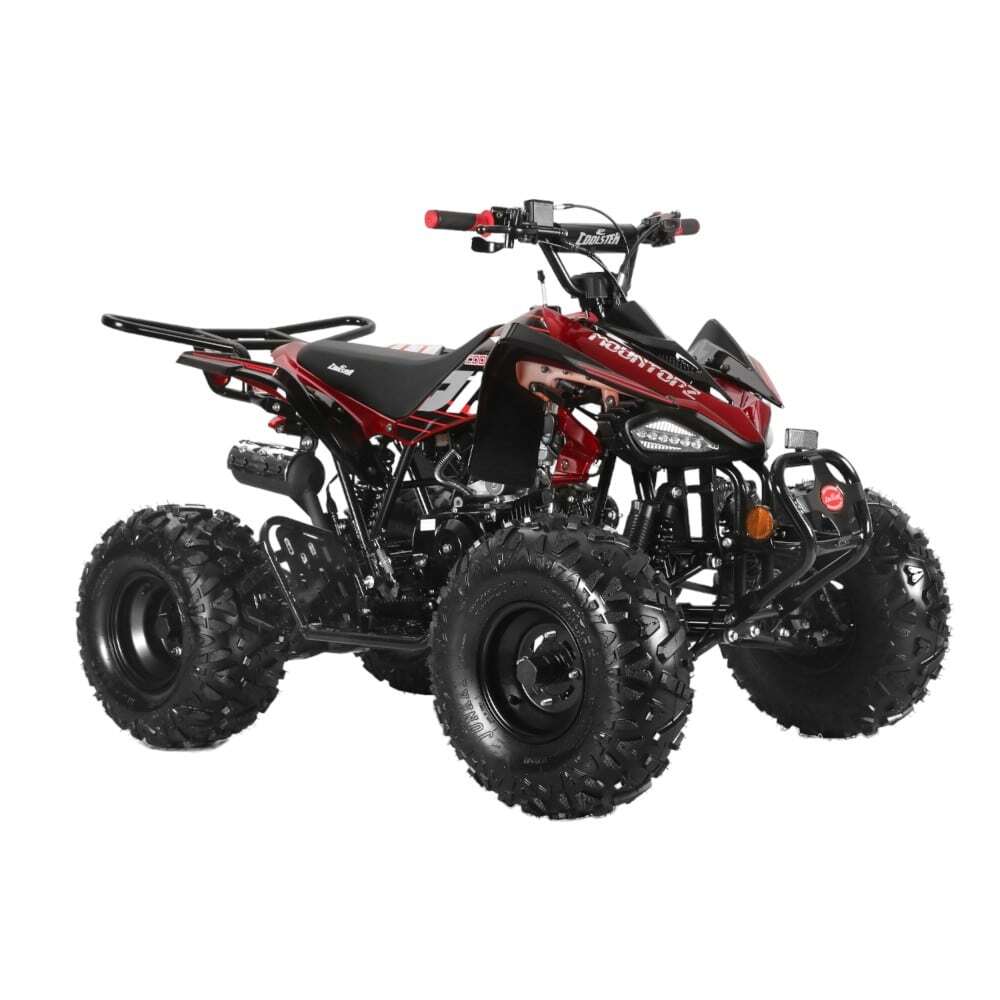 MountTopz 125cc Sport ATV ( 3125CX2)