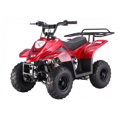 Lil Thunder 110 ATV B110 Boulder (No Reverse)