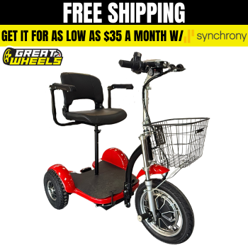 Chaser 1500 AWD Scooter