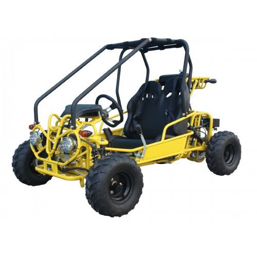 Tao GK110 110cc Go Kart