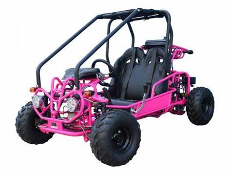 Tao GK110 110cc Go Kart