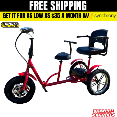 Rider 2 1000w Scooter