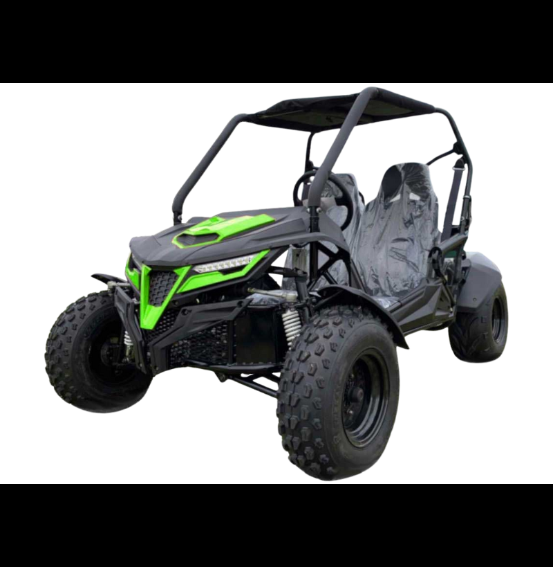 Cheetah 200E EFI Go Kart