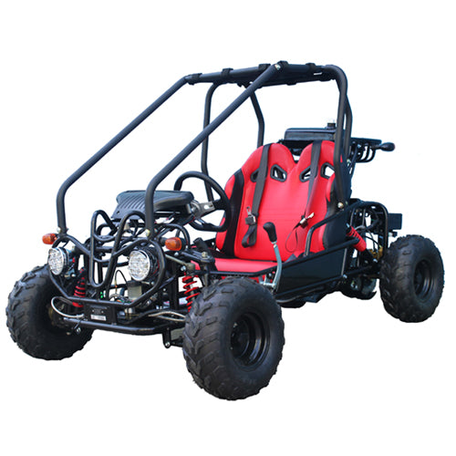 Tao GK110 110cc Go Kart