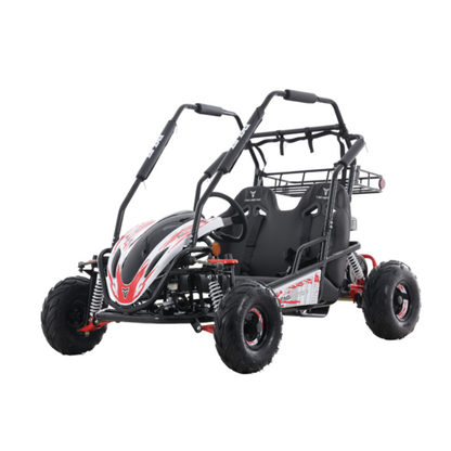 Baja Sprinter 200cc Go-Kart