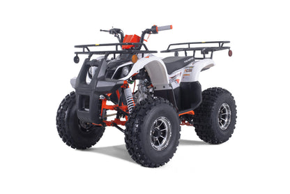 Tao T-Force Platinum 125cc ATV