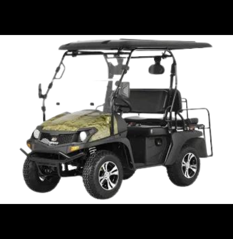 Trailmaster Taurus 200GX w Long Roof and Rear Seat EFI