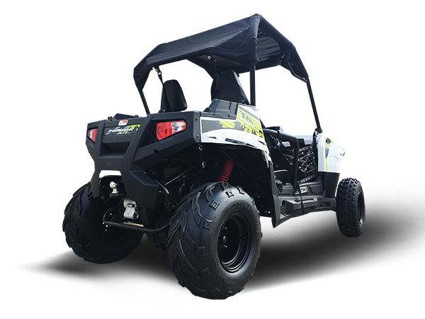 Challenger 200 UTV