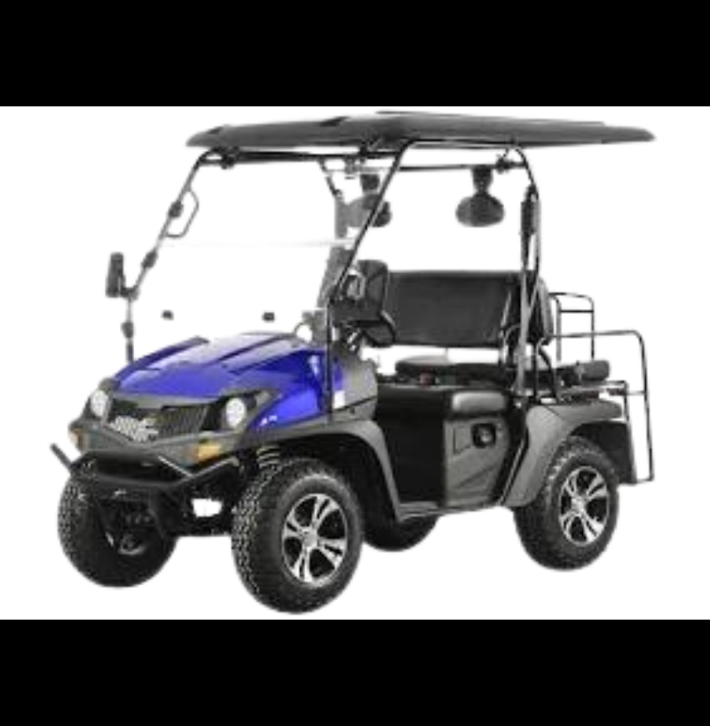 Trailmaster Taurus 200GX w Long Roof and Rear Seat EFI